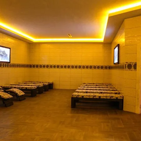 ホテル Budan Thermal & Convention Center Afyonkarahisar