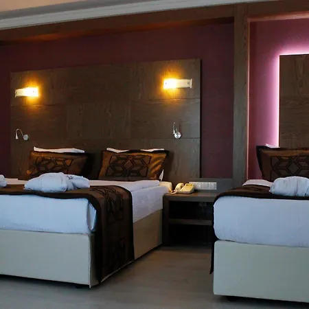 ホテル Budan Thermal & Convention Center 5*